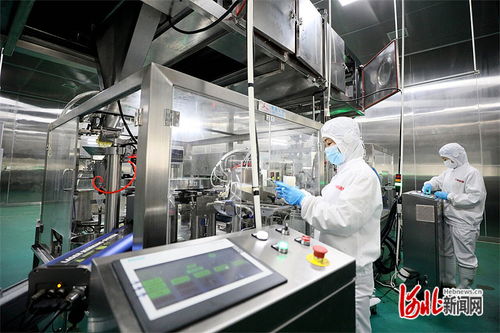 高質量發(fā)展調研行 邢臺食品加工業(yè)挺進功能性食品新賽道