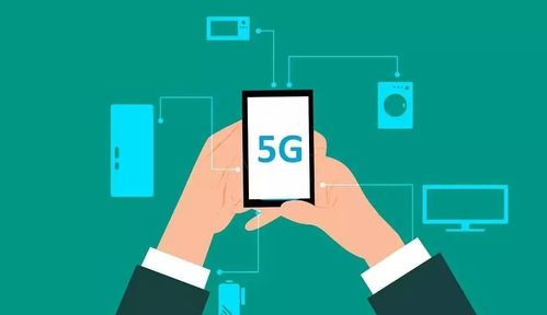 三彩家科技 借力信息技術咨詢，賦能生活服務行業降本增效